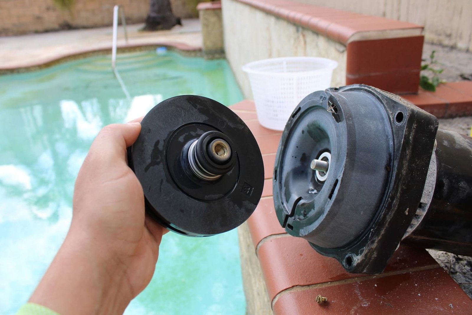 WhatsApp Image 2026-04-09 at 12.45.28 PM-17758342486211af5fad45cc53e3b009f3cbc67f8fd7d45aa9